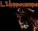 Logo hippocampe