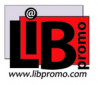 Logo libpromo outillage promo