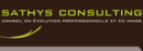 Logo sathys consulting