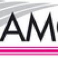 Logo scierie hamon